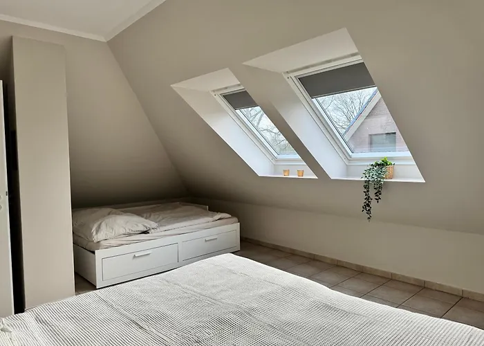 Happy Moor * 瑞林根